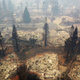 Image for article titled The World Lost $160 Billion to Disasters Last Year, and Climate Change Played a Big Role